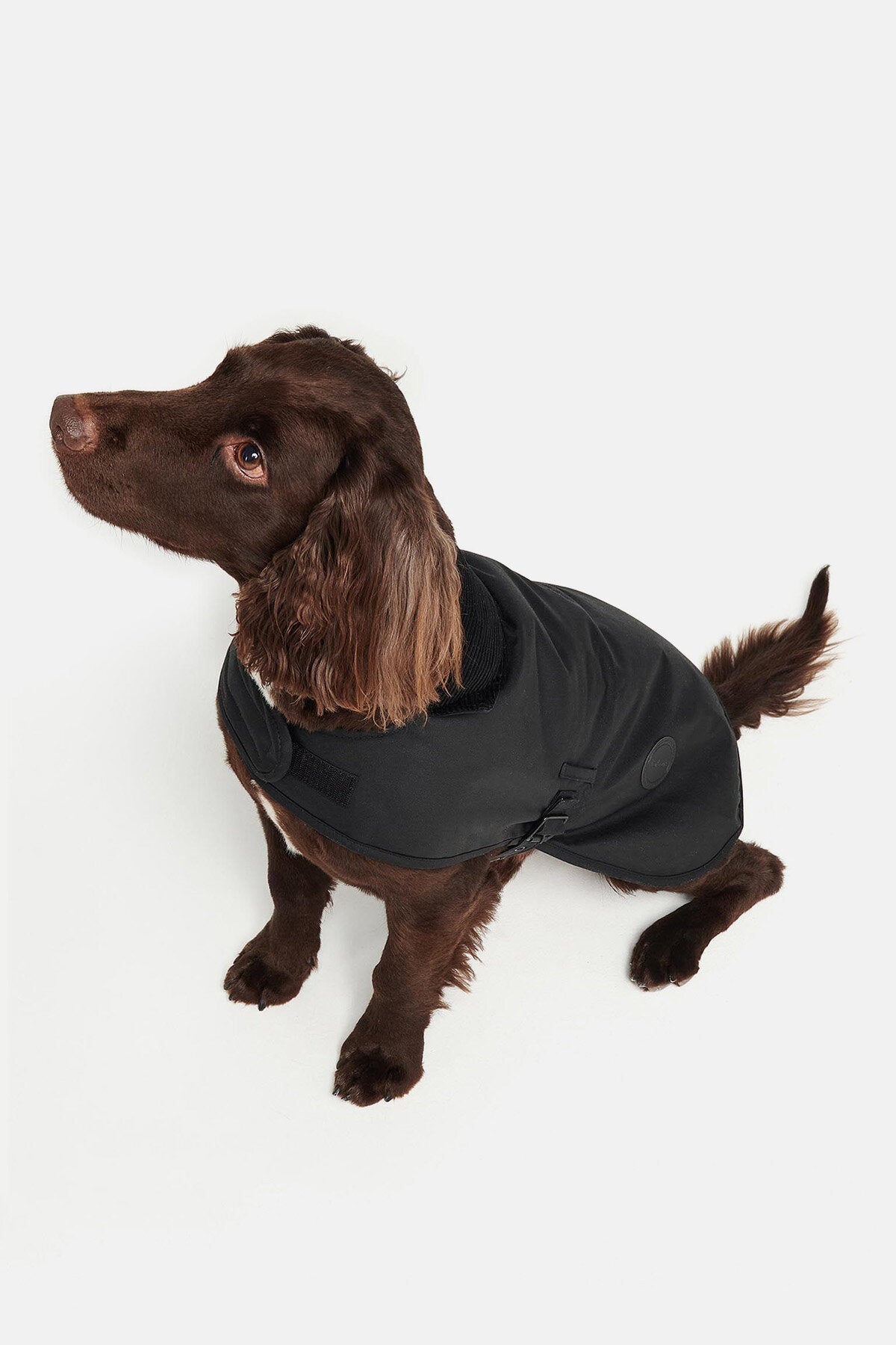Wax dog coat